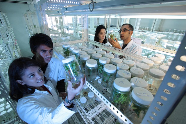 新型N-甲基嗎啉氧化物衍生物的開發(fā)與市場需求動向